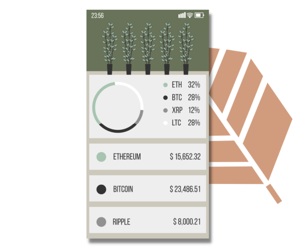 User Dashboard